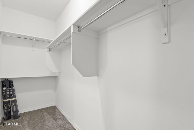 spacious closet featuring dark colored carpet