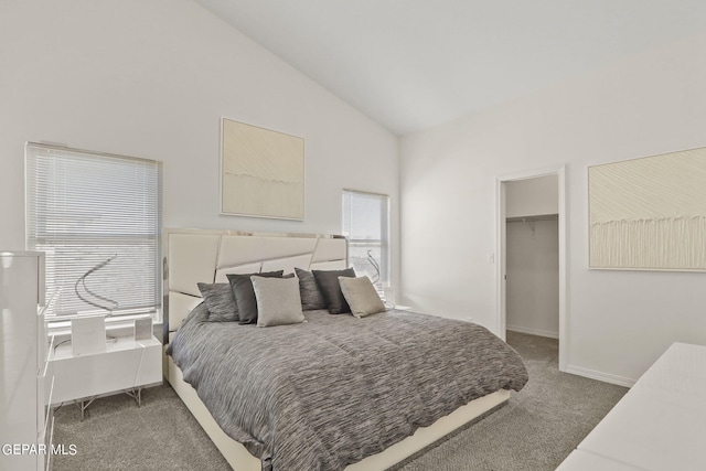 265 Adamtowne Dr, El Paso, TX 79928 - bedroom with carpet, a spacious closet, baseboards, and high vaulted ceiling