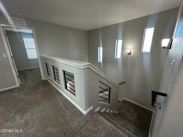 stairway with a wealth of natural light and carpet