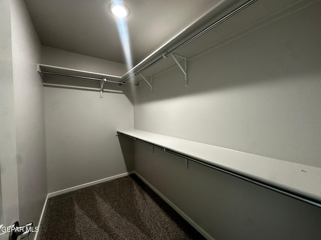 walk in closet with dark carpet