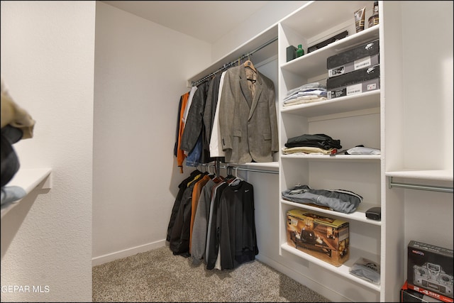 spacious closet with light carpet