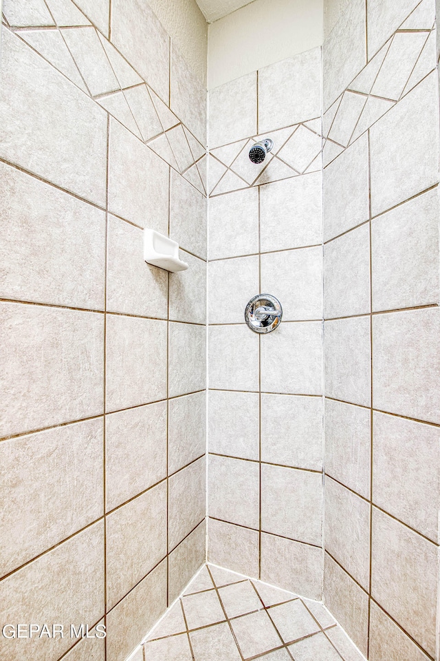 bathroom featuring a tile shower