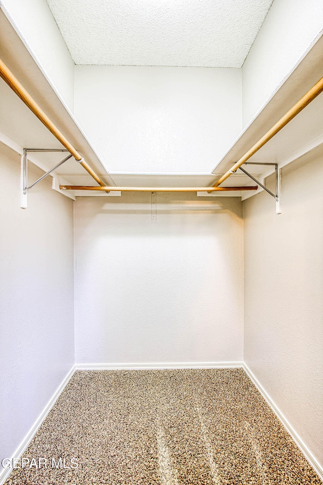 spacious closet with carpet