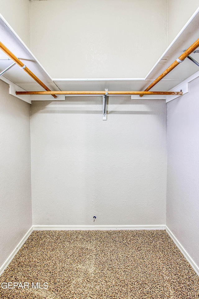 spacious closet with carpet floors