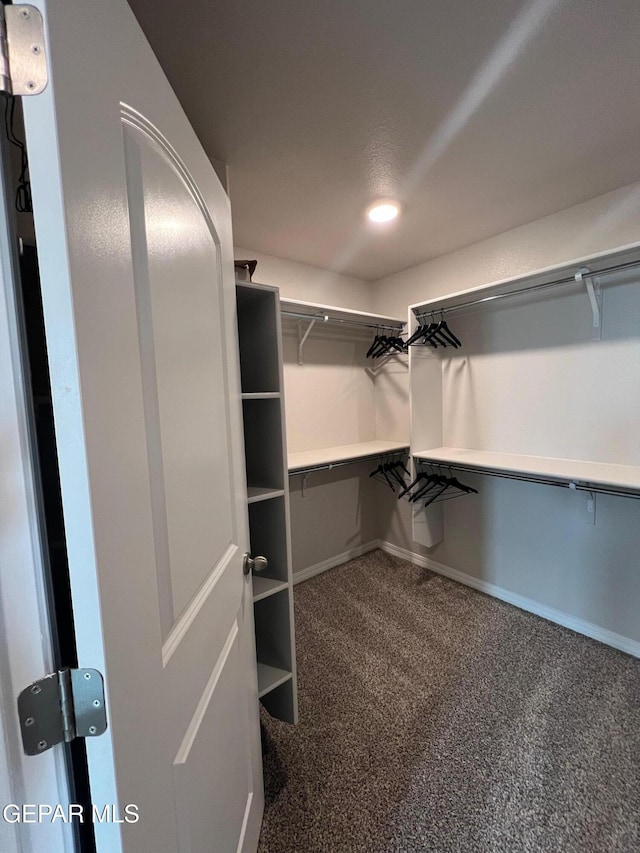 spacious closet featuring carpet flooring