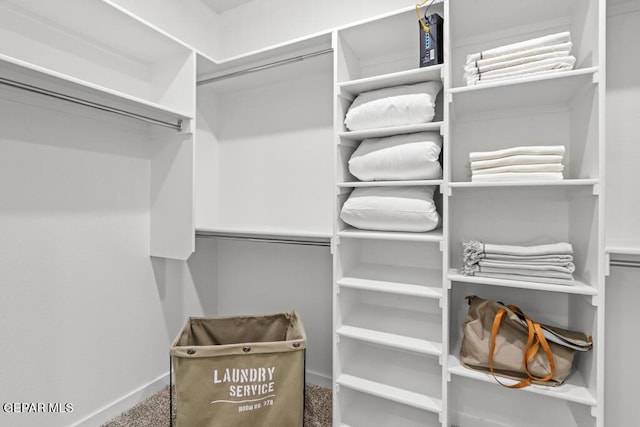 walk in closet featuring carpet floors