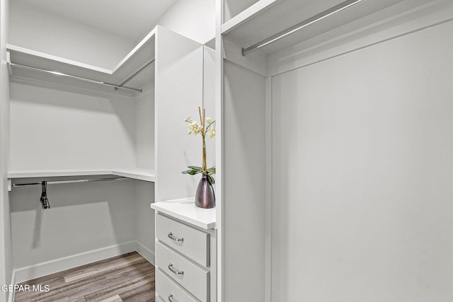 walk in closet with hardwood / wood-style floors