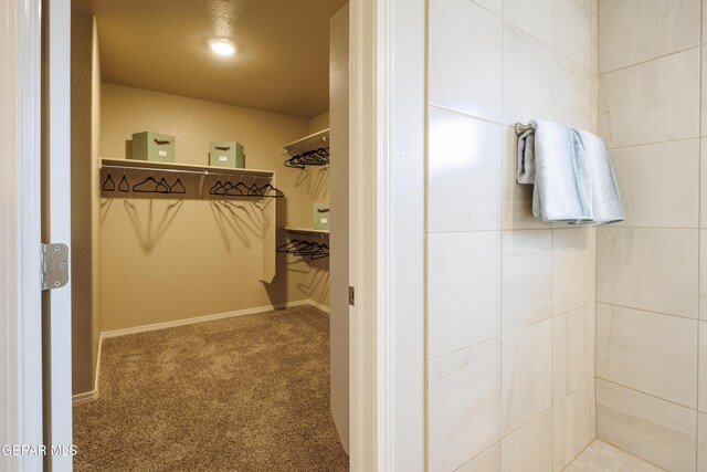 spacious closet featuring carpet floors