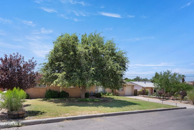 view of property hidden behind natural elements featuring a front yard