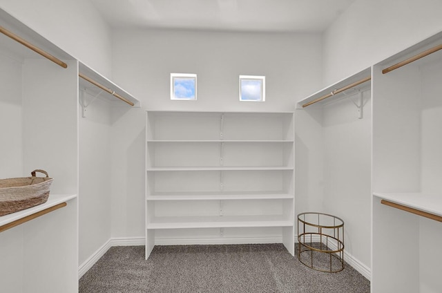 walk in closet with carpet