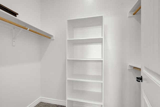 spacious closet with carpet flooring