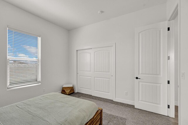 bedroom with carpet floors and a closet