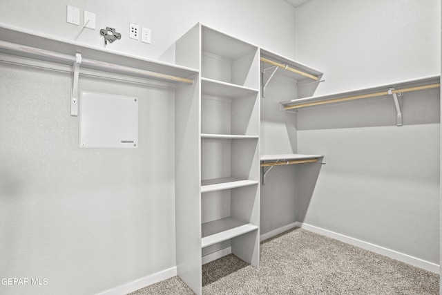 spacious closet featuring carpet