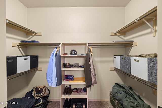 spacious closet featuring carpet flooring