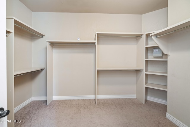 spacious closet with light carpet