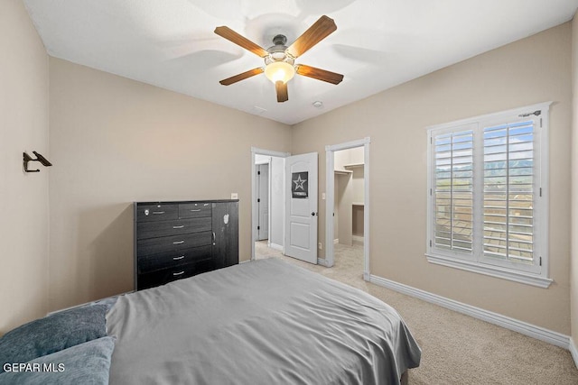 carpeted bedroom featuring a walk in closet and ceiling fan