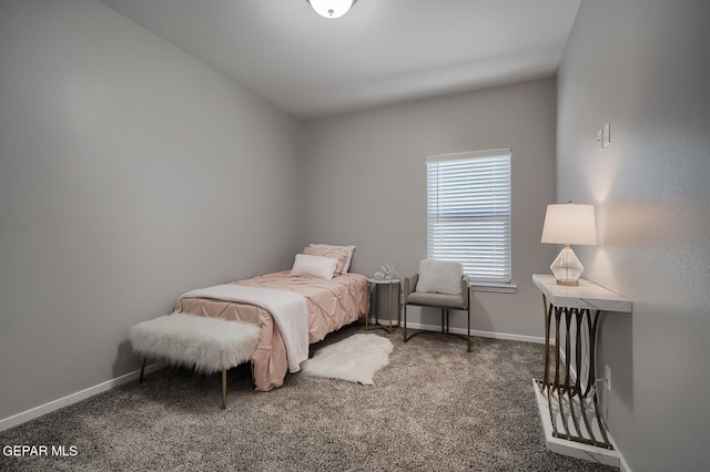 bedroom featuring carpet