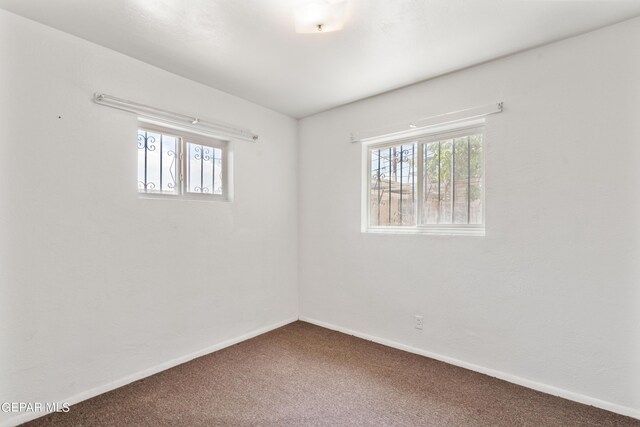 empty room featuring carpet floors