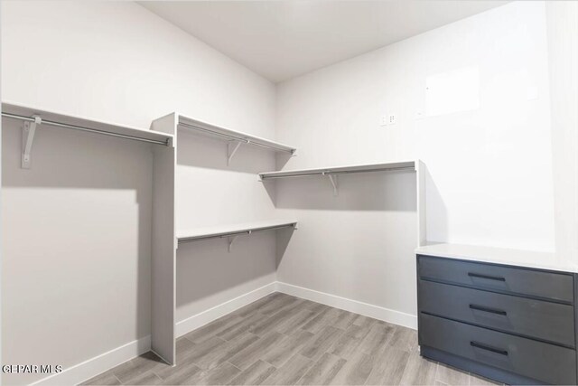 walk in closet with light wood-type flooring