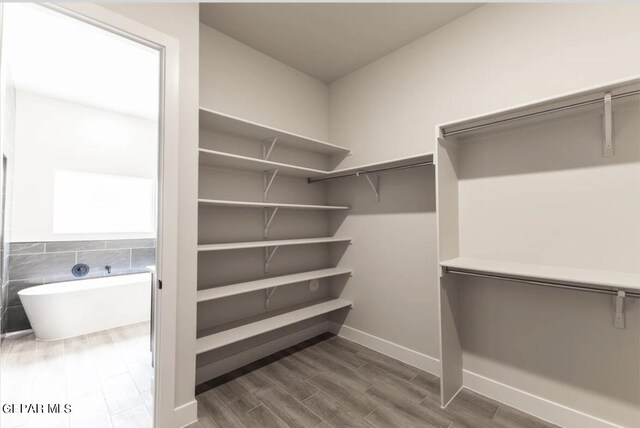 walk in closet with hardwood / wood-style flooring