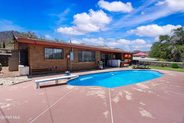 view of swimming pool with a patio and a diving board