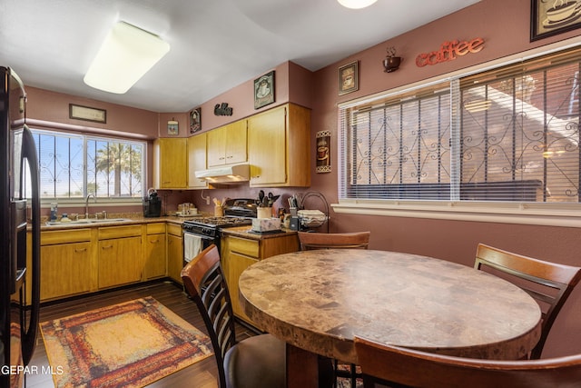 kitchen with dark hardwood / wood-style floors, sink, and black appliances