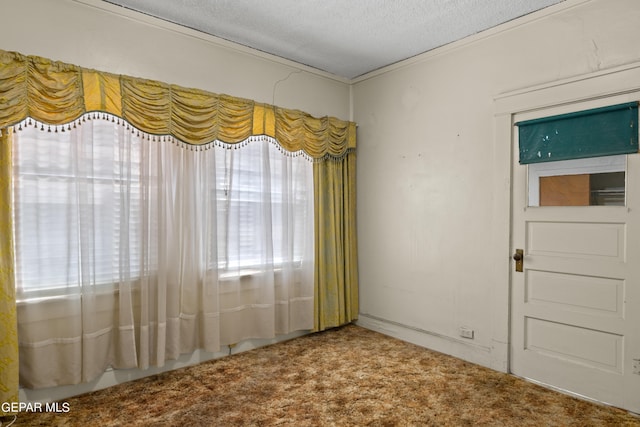 empty room with carpet and a textured ceiling