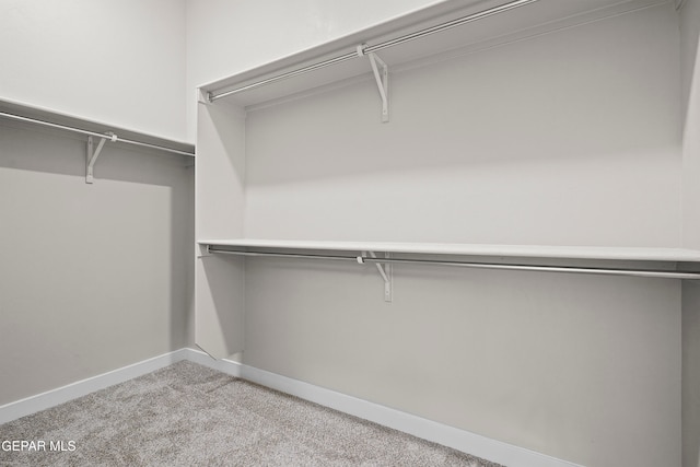 walk in closet with carpet floors