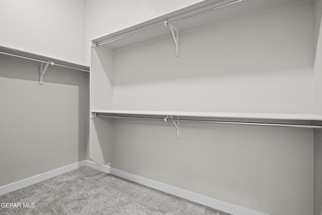 spacious closet with light carpet