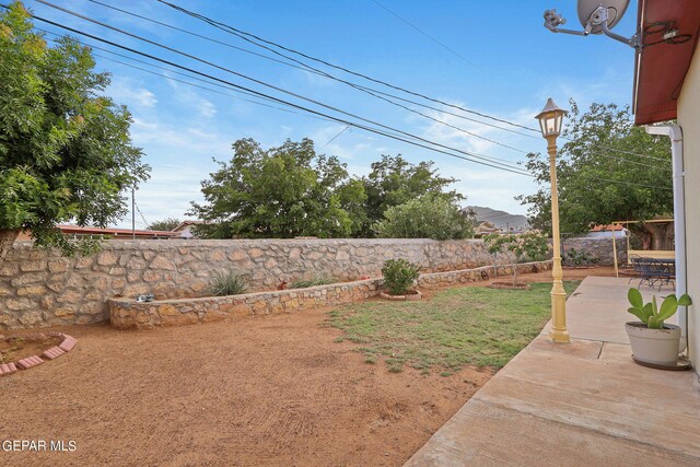 view of yard featuring a patio area