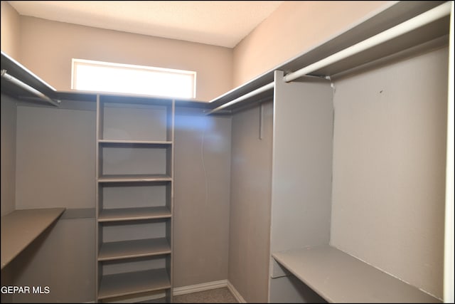 view of walk in closet