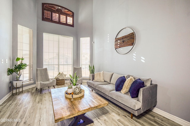 living room with wood-type flooring and a high ceiling