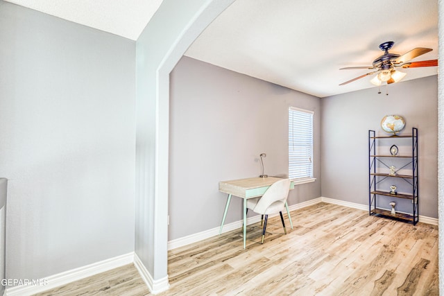 office featuring ceiling fan and light hardwood / wood-style flooring