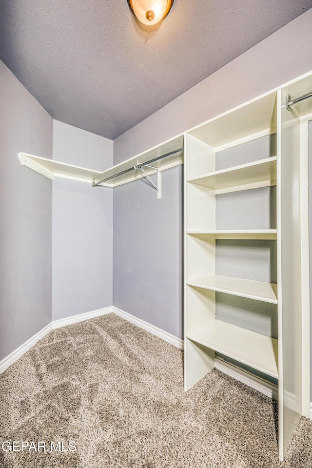 walk in closet featuring carpet