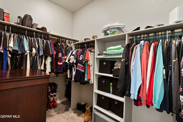 spacious closet featuring carpet flooring