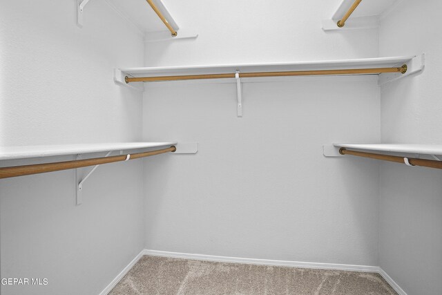 spacious closet featuring light carpet