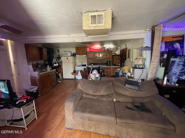 living room featuring hardwood / wood-style flooring and a textured ceiling