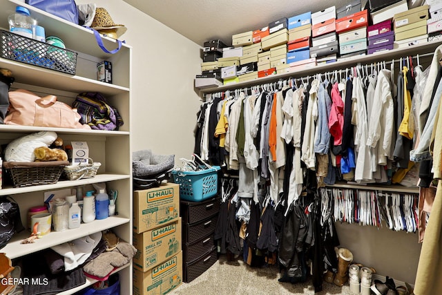 spacious closet with carpet flooring