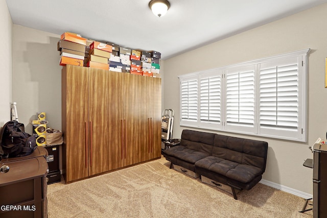 sitting room with light colored carpet