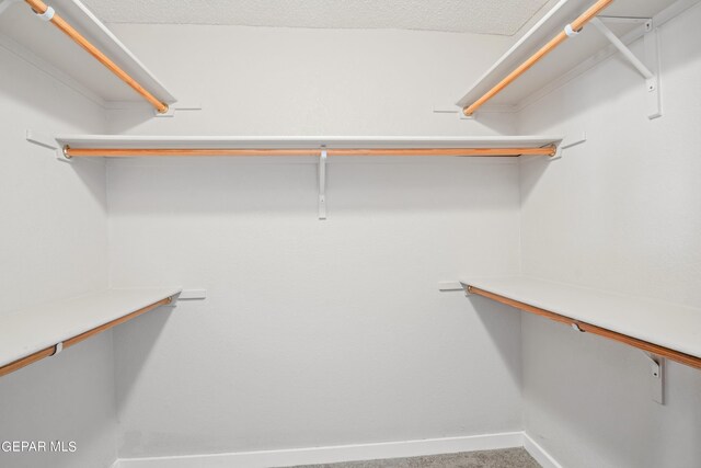 walk in closet featuring carpet flooring