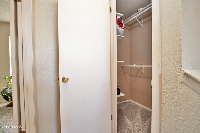 walk in closet featuring carpet flooring