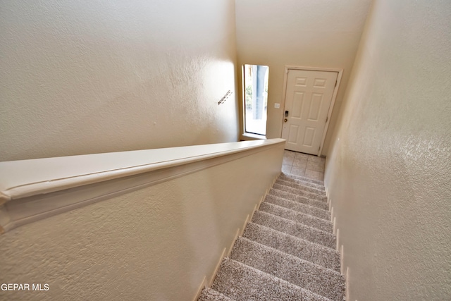 stairs featuring carpet floors