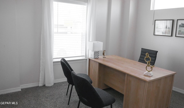 home office with dark colored carpet