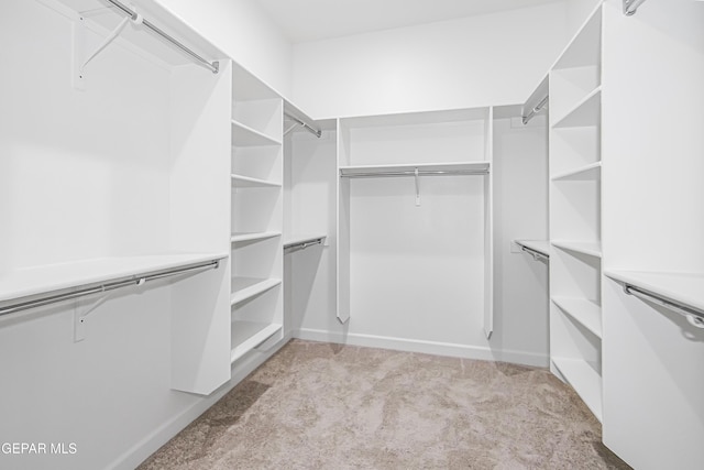 walk in closet with light carpet