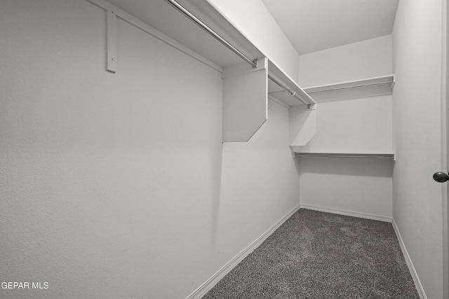 13158 Ludlow Ln, El Paso, TX 79928 - spacious closet with carpet