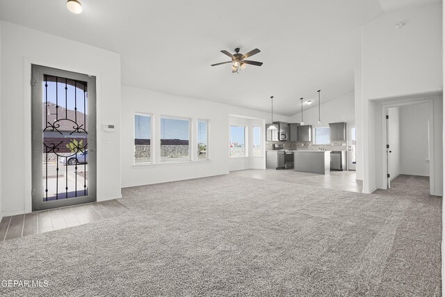 1041 Summer Lake St, El Paso, TX 79928 - photo 5