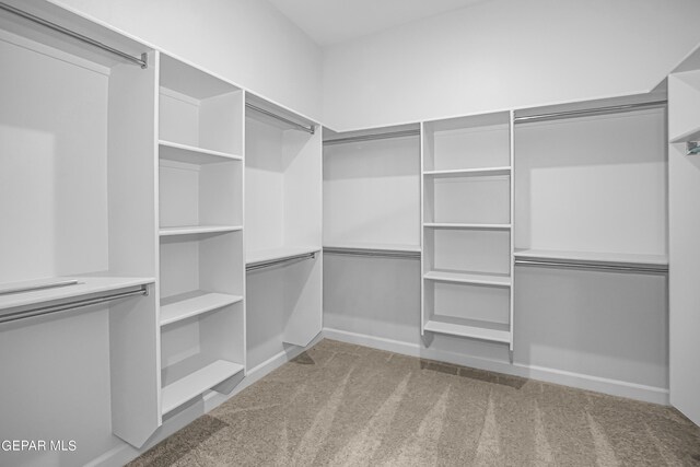 walk in closet with carpet