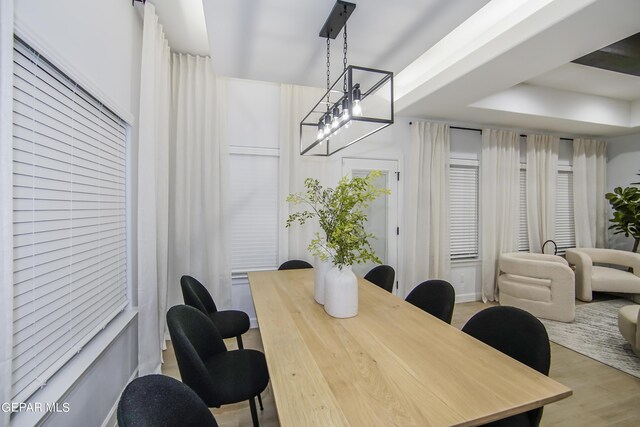 dining area featuring light hardwood / wood-style flooring