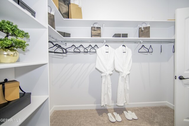 spacious closet with carpet flooring