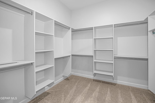 walk in closet with carpet floors